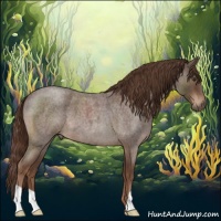 Horse Color:Liver Red Roan 