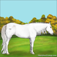 Horse Color:Gray Silver Black Pearl Tobiano 