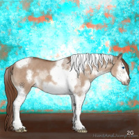 Horse Color:Liver Red Dun Splash Tobiano Frame 