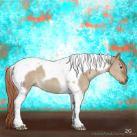 Horse Color:Liver Red Dun Tobiano 