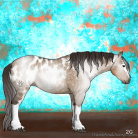 Horse Color:Gray White Spotted Liver Red Dun Appaloosa 