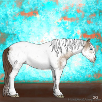 Horse Color:Liver Red Dun Splash Tobiano Frame 