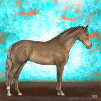 Horse Color:Chocolate Palomino Sabino 