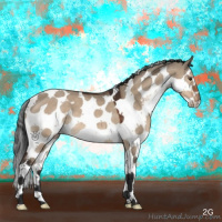 Horse Color:Brown Dun Splash Tobiano 