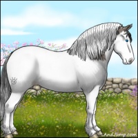 Horse Color:Grullo Splash Tobiano Appaloosa 