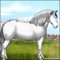 Horse Color:Grullo Splash Tobiano 