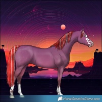Horse Color:Painted Silver Bay Dun