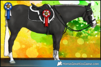 Horse Color:Liver Chestnut Mushroom 