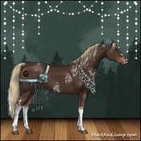 Horse Color:White Spotted Liver Chestnut Rabicano
