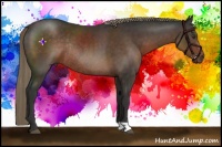 Horse Color:Liver Chestnut Rabicano 