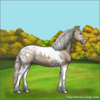 Horse Color:Silver Grullo Tobiano 
