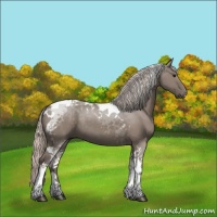 Horse Color:Silver Grullo Tobiano 