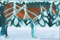 Horse Color:Thunderstruck Bay 