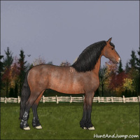 Horse Color:Brown Rabicano  and Brown Rabicano 