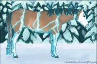 Horse Color:Thunderstruck Brown Dun Splash 