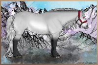 Horse Color:Silver Bay Chinchilla 