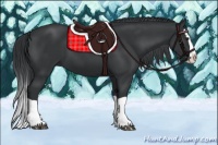 Horse Color:Black Chinchilla Splash 