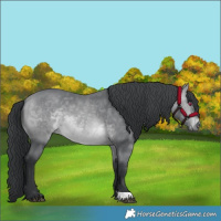 Horse Color:Bay Chinchilla 