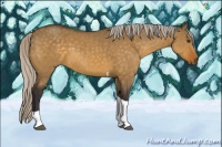 Horse Color:Silver Buckskin Dun Sabino Tobiano