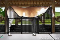 Horse Color:Buckskin Onyx Splash Rabicano