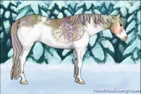 Horse Color:Nacre White Spotted Silver Blue Onyx Frame Rabicano 