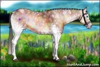 Horse Color:Nacre White Spotted Bay Ice Onyx Splash Rabicano