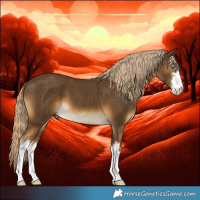 Horse Color:White Spotted Chocolate Palomino Mushroom