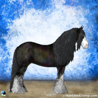 Horse Color:Midnight Brown Ice Onyx Sabino