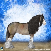 Horse Color:Liver Red Dun Sabino Splash Rabicano Brindle