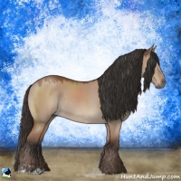 Horse Color:Brown Dun Mushroom Sabino Rabicano 