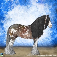 Horse Color:Brown Mushroom Sabino 