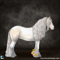 Horse Color:Silver Amber Champagne Pearl Onyx Sabino Tobiano Rabicano 