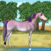 Horse Color:Painted Watercolor Buckskin Onyx