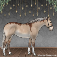 Horse Color:Silver Bay Dun Tobiano 