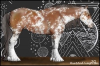 Horse Color:Bay Sabino 