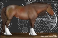 Horse Color:Liver Chestnut Sabino Rabicano 