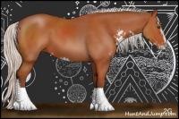 Horse Color:Silver Bay Sabino Rabicano 
