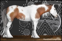 Horse Color:Bay Sabino Splash Tobiano 