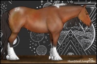 Horse Color:Bay Sabino Tobiano