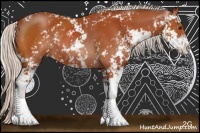 Horse Color:Silver Bay Sabino Rabicano 