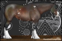 Horse Color:Brown Sabino Rabicano