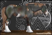 Horse Color:Chestnut Sabino Splash  and Liver Chestnut Sabino 