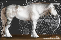 Horse Color:Gray Liver Chestnut Sabino Rabicano 