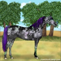 Horse Color:Void Painted Watercolor Brown Dun Splash Tobiano 