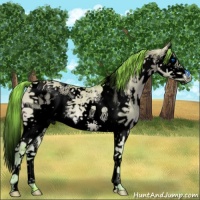 Horse Color:Void Watercolor Liver Red Dun Ice Splash Tobiano 