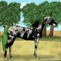 Horse Color:Void Watercolor Liver Red Dun Ice Splash Tobiano Rabicano 