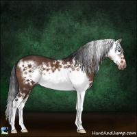 Horse Color:Brown Splash Frame 