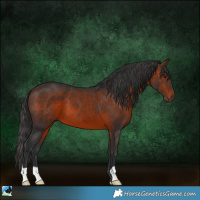 Horse Color:Brown 