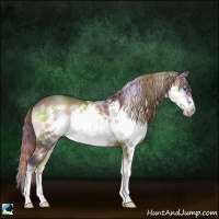 Horse Color:Nacre Liver Red Onyx Splash Frame 