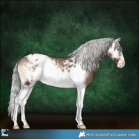 Horse Color:Liver Red Onyx Mushroom Splash Frame Appaloosa 
